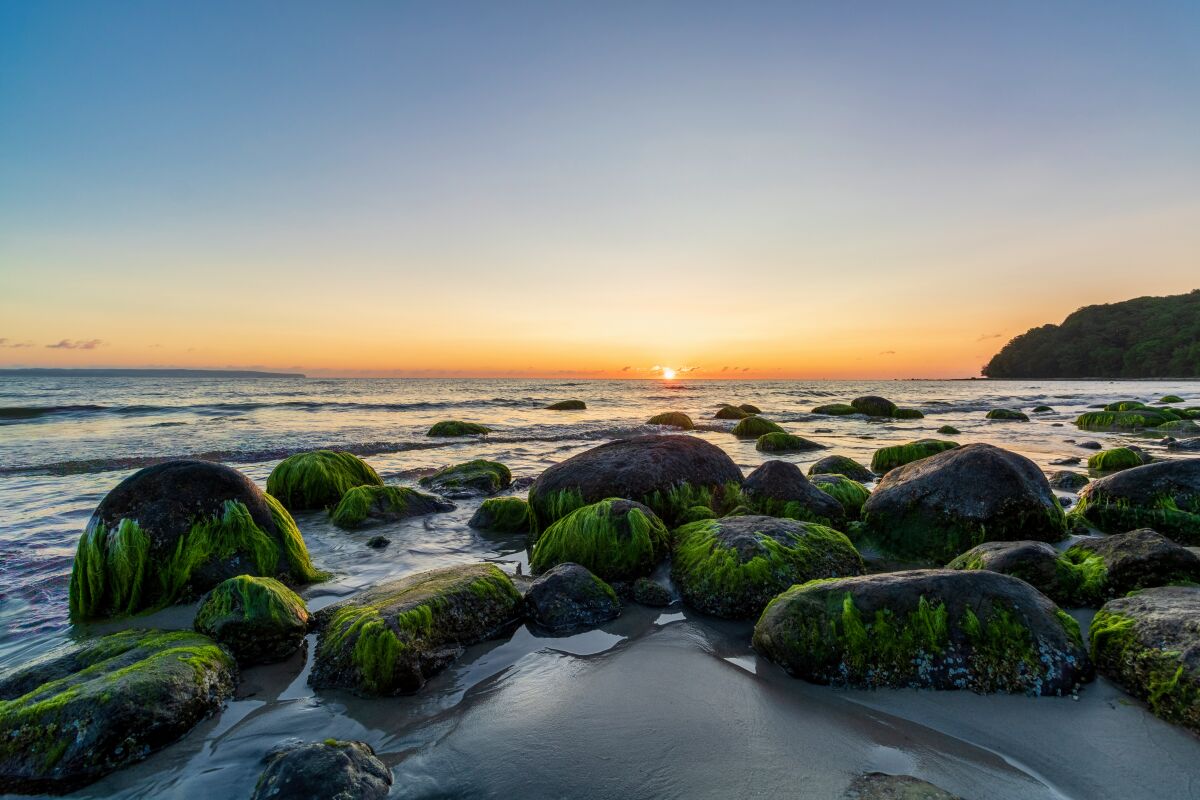 Steine und Meer am Strand von Binz auf Rügen